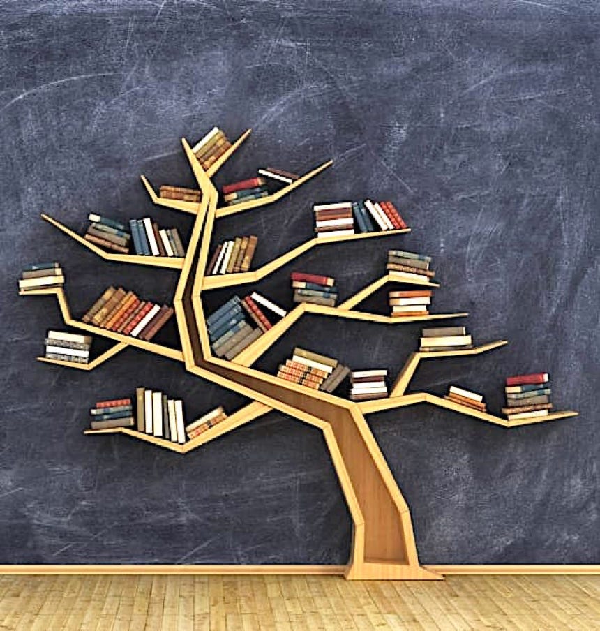 IMG LIbreria albero